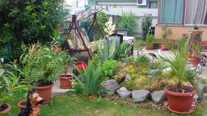 Karácson Mária kertje 04